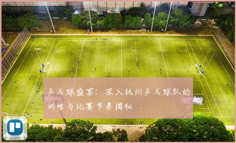 乒乓球盛宴：深入杭州乒乓球队的训练与比赛节奏揭秘