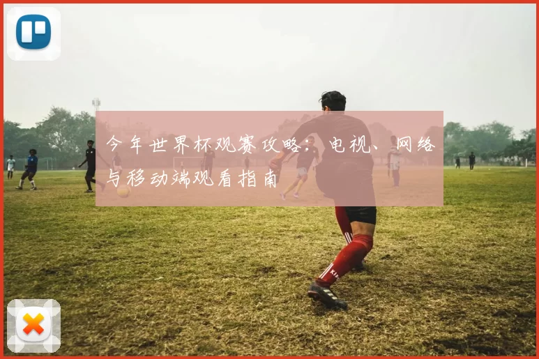 今年世界杯观赛攻略:电视、网络与移动端观看指南