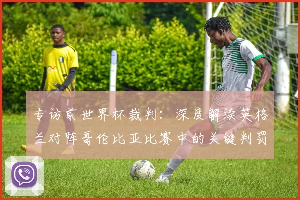 专访前世界杯裁判：深度解读英格兰对阵哥伦比亚比赛中的关键判罚
