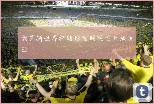 俄罗斯世界杯赌球官网现已开放注册