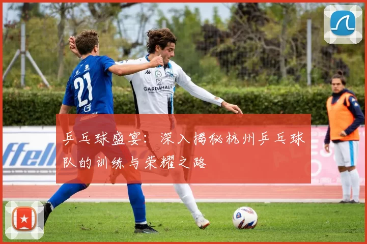 乒乓球盛宴：深入揭秘杭州乒乓球队的训练与荣耀之路
