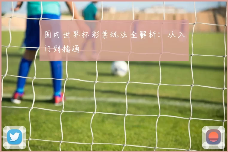 国内世界杯彩票玩法全解析：从入门到精通