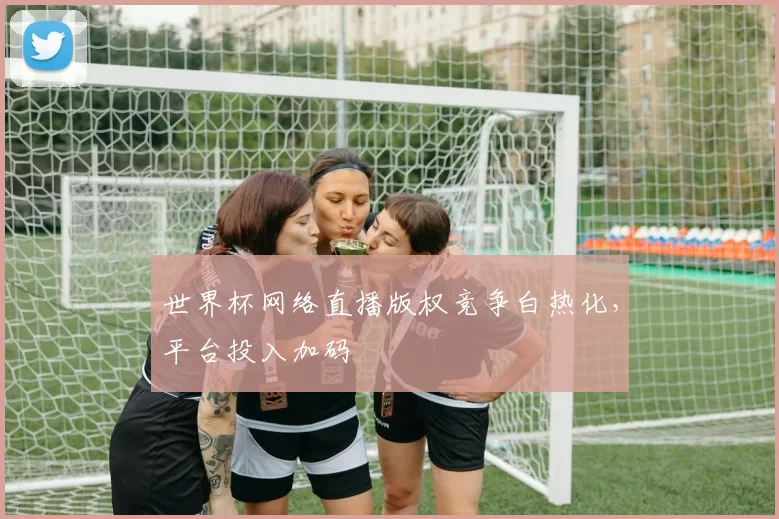 世界杯网络直播版权竞争白热化,平台投入加码