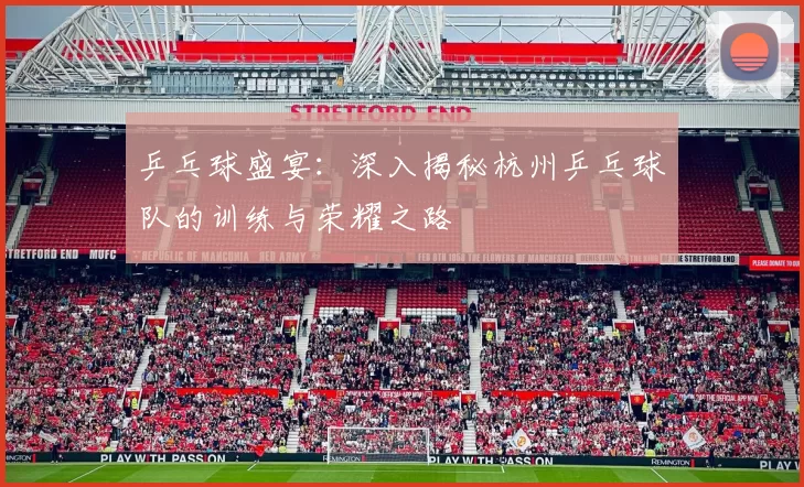 乒乓球盛宴：深入揭秘杭州乒乓球队的训练与荣耀之路