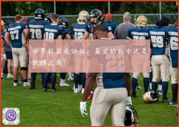 世界杯国足归化:最后的机会还是饮鸩止渴?