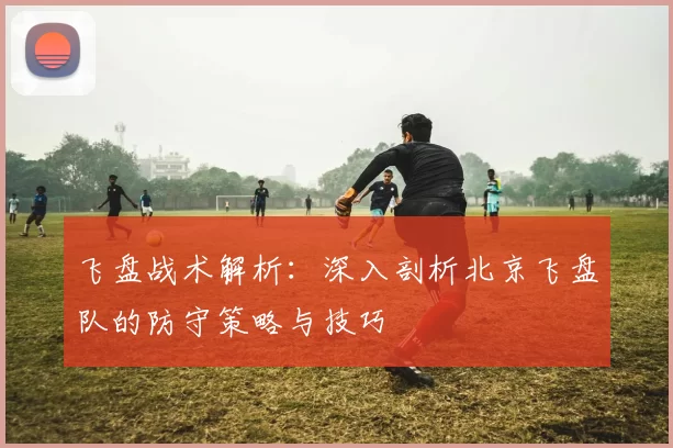 飞盘战术解析：深入剖析北京飞盘队的防守策略与技巧