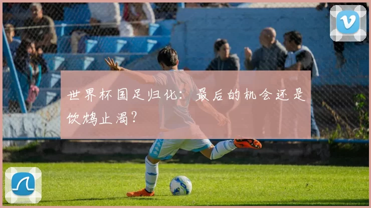 世界杯国足归化:最后的机会还是饮鸩止渴?