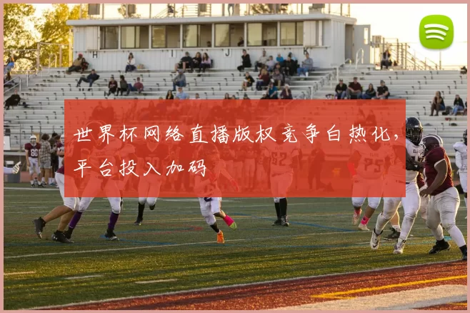 世界杯网络直播版权竞争白热化,平台投入加码
