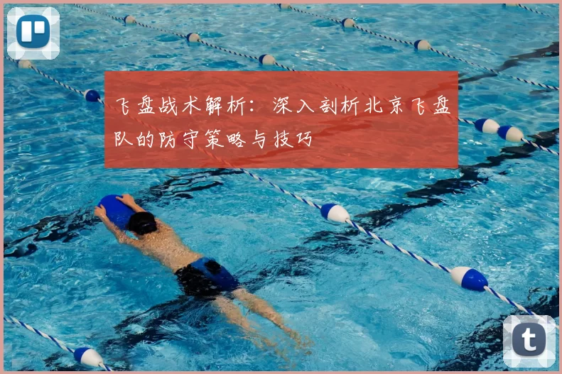 飞盘战术解析：深入剖析北京飞盘队的防守策略与技巧