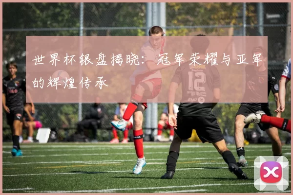 世界杯银盘揭晓:冠军荣耀与亚军的辉煌传承